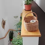 Boruvka Špindlerŭv Mlýn
