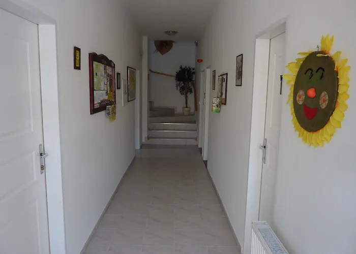 Boruvka Špindlerŭv Mlýn