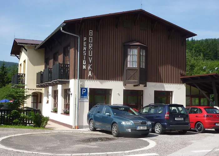 Pensionat Boruvka