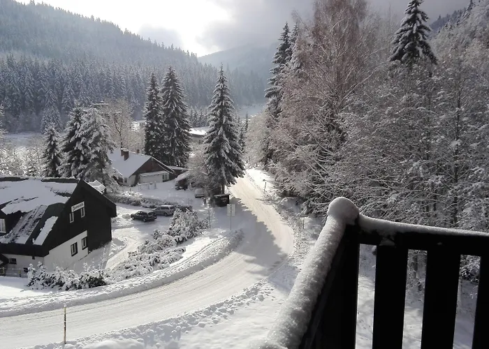 Boruvka Špindlerŭv Mlýn