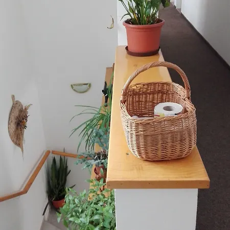 Boruvka Spindleruv Mlyn