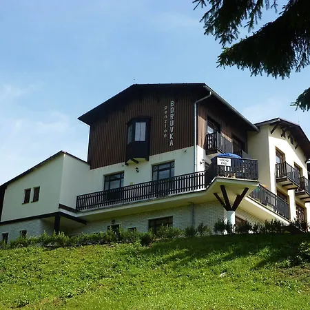 Borůvka Penzion Špindlerŭv Mlýn