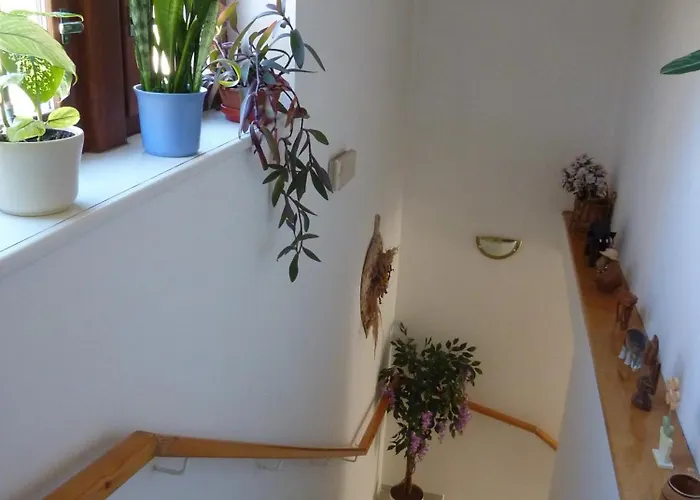 Boruvka Špindlerŭv Mlýn