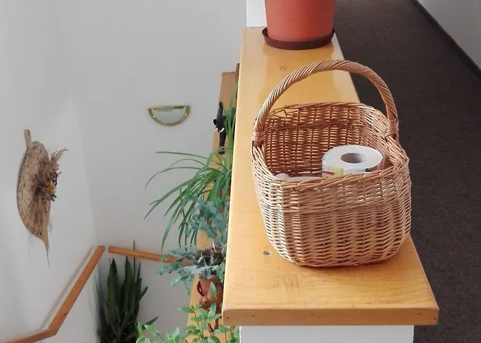 Boruvka Špindlerŭv Mlýn